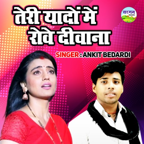 Teri Yadon Main Rove Diwana | Boomplay Music