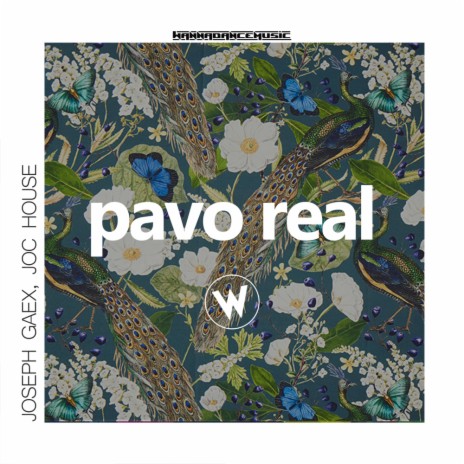 Pavo Real (Original Mix) | Boomplay Music