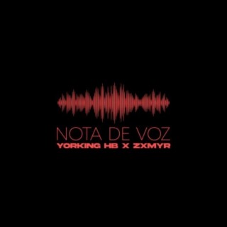 Nota de Voz