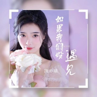 如果我们没遇见 lyrics | Boomplay Music