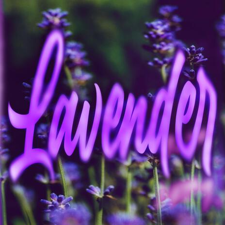 lavender | Boomplay Music