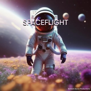 Spaceflight