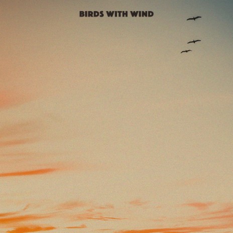 Birds With Wind | Boomplay Music