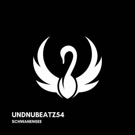 Schwanensee | Boomplay Music