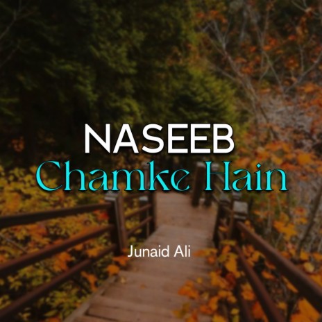 Naseeb Chamke Hain | Boomplay Music