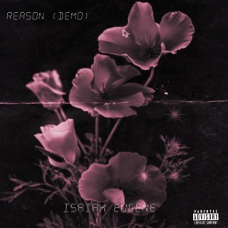 Reason (Demo Version)