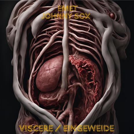 Viscere / Eingeweide ft. Johnny Sox | Boomplay Music