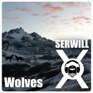 Serwill-X