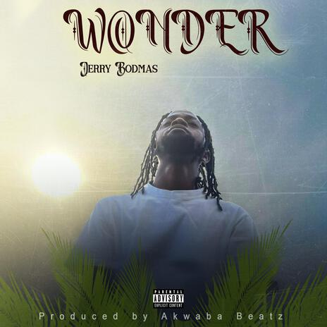 Wonder | Boomplay Music