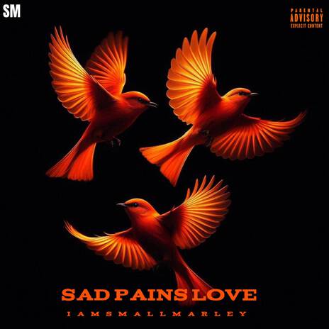 Sad Pains Love