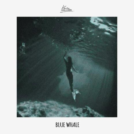 Blue Whale | Boomplay Music