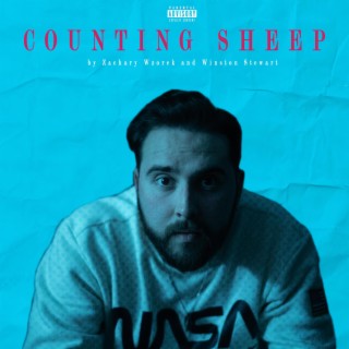 Counting Sheep ft. Winston Stewart lyrics | Boomplay Music