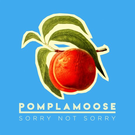 Sorry Not Sorry | Boomplay Music