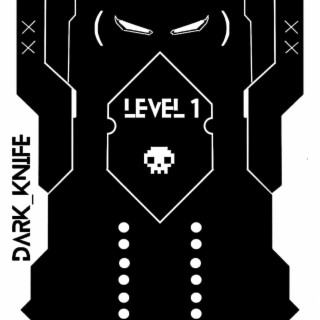 Level 1