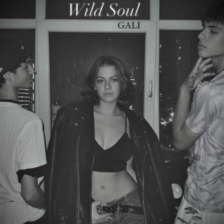 Wild Soul lyrics | Boomplay Music