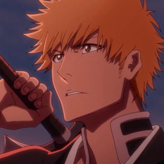 Bleach Ichigo Kurosaki