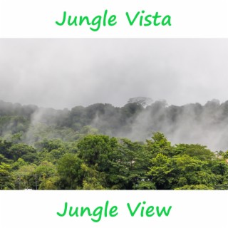 Jungle Vista