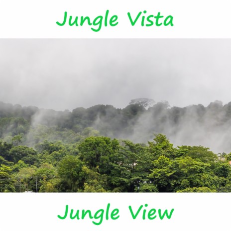 Jungle Vista Pt. 5
