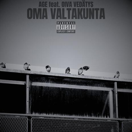 Oma valtakunta ft. Oiva Vedätys | Boomplay Music