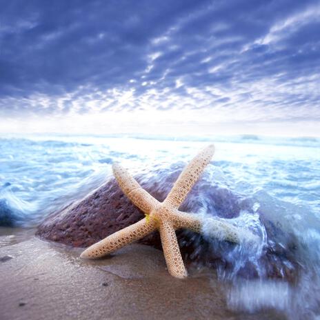 Sérénité au bord de la mer ft. Ocean Waves!, Calming Water Consort, Ocean Sounds FX & Meditation Music Zone