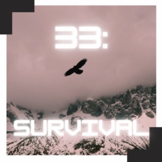 33 : Survival (Deluxe)