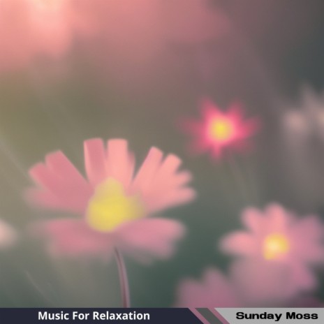 Music & Aromas | Boomplay Music