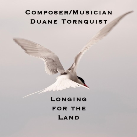 Longing for the Land | Boomplay Music