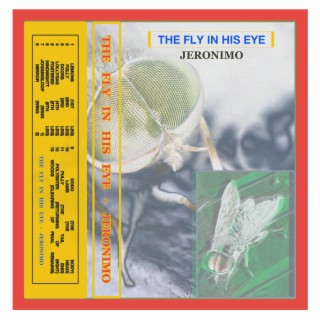 The Fly In His Eye (Jeronimo Demo)