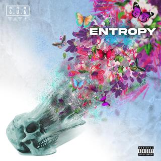 Entropy