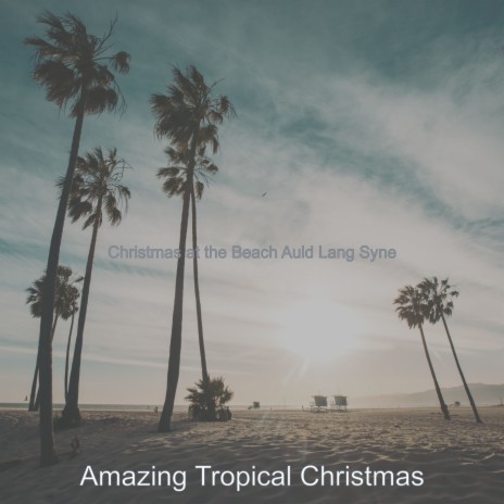 Christmas in Paradise Hark the Herald Angels Sing | Boomplay Music