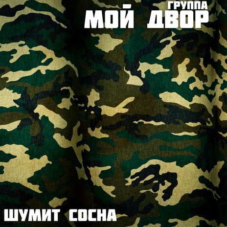 Шумит сосна