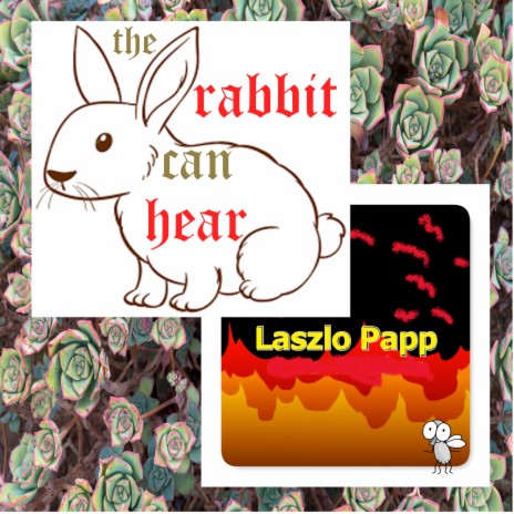 The Rabbit Can Hear | Boomplay Music