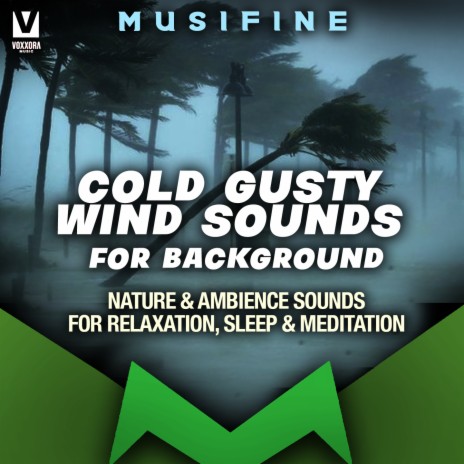 Cold Gusty Wind Sounds for Background (Nature & Ambience Sounds for Relaxation, Sleep & Meditation) | Boomplay Music