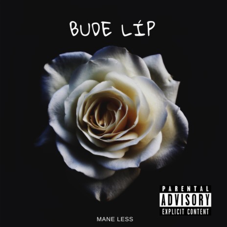 Bude líp ft. Mane Less | Boomplay Music