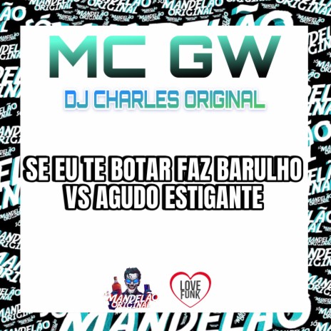 Se Eu Te Botar Faz Barulho Vs Agudo Estigante ft. DJ Charles Original | Boomplay Music