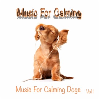 Music For Calming