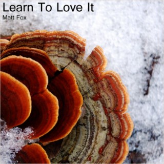 Learn to Love it