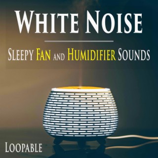 White Noise: Sleepy Fan and Humidifier Sounds (Loopable)