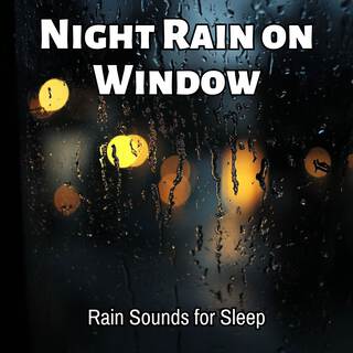 Night Rain on Window