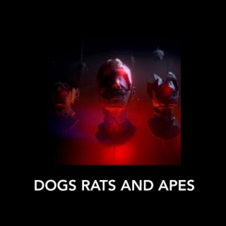 DOGS RATS AND APES lyrics | Boomplay Music