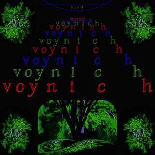 voynich