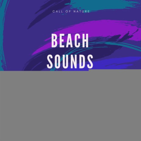 Sunset In the Beach | Boomplay Music