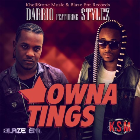 Owna Tings (feat. Stylez) | Boomplay Music