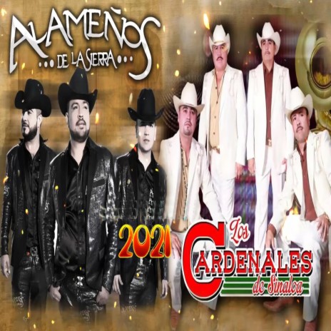 Dos Seres Que Se Aman (En vivo) ft. Cardenales De Sinaloa | Boomplay Music