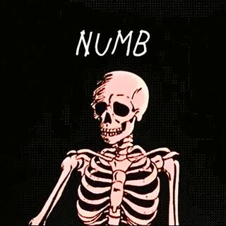 NUMB