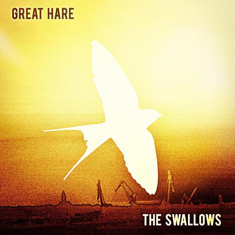 The Swallows | Boomplay Music