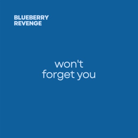 won't forget you | Boomplay Music