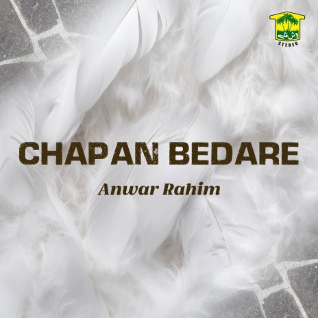 Chapan Bedare | Boomplay Music