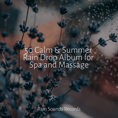 Stormy Drive Ahead ft. Nature Sounds & Relax Meditate Sleep | Boomplay Music