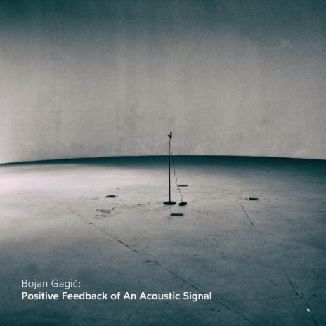 Positive Feedback Of An Acoustic Signal | Boomplay Music
